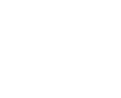 Leo logo